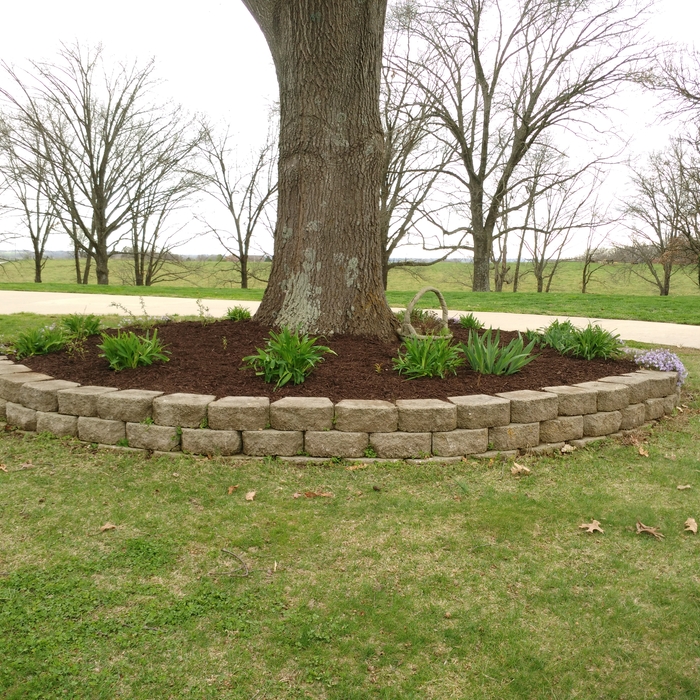 Nixa remulch