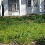Lawn Care