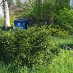 Lawn Care