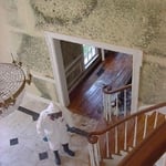 Mold Remediation