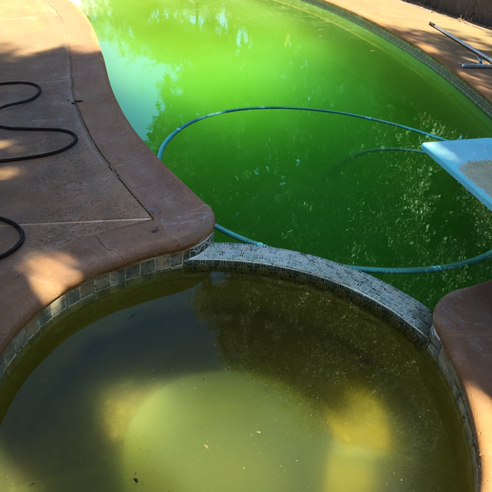 Customer pool