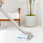 Carpet Cleaning