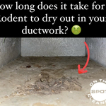 Duct Cleaning Sneak Peek