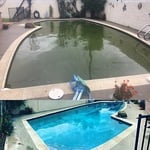 Before and After