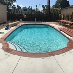 New Pool New Plaster