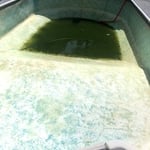 Dirty mucky water