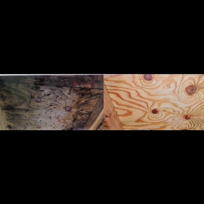 Mold removal