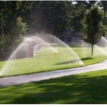 sprinklers