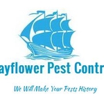 Pest Control