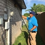 Webster brush with insecticide