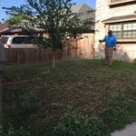 Exterior Power Spray treatment