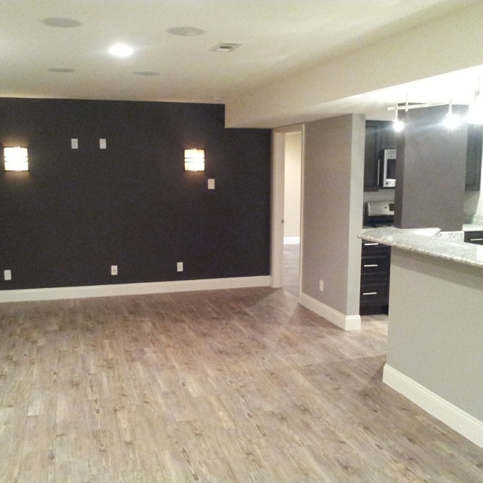 basement kitchen with rustic wood floors