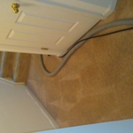 Carpet after