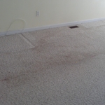 Commercial carpet