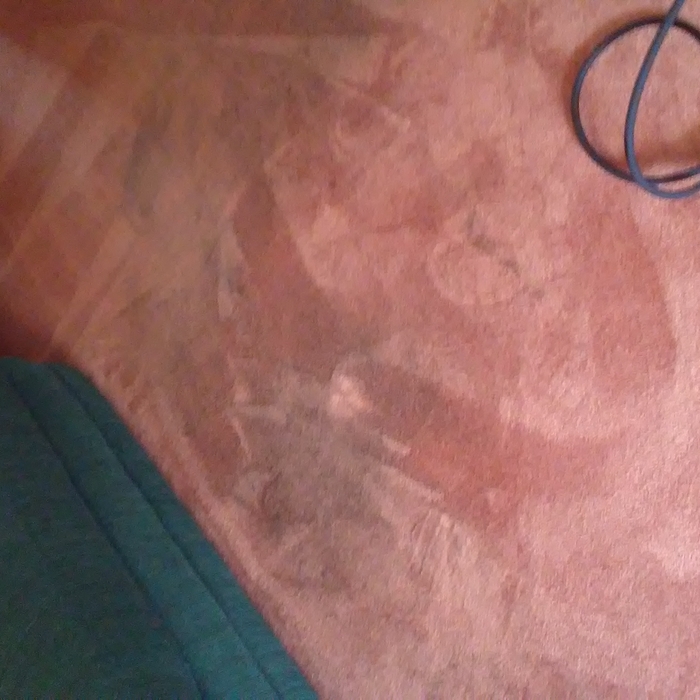 Carpet before