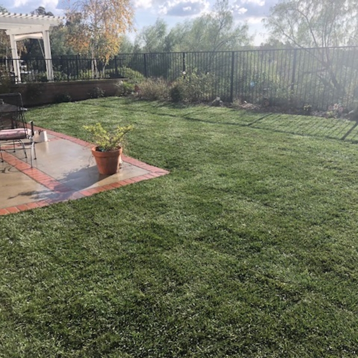 Sod Install