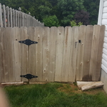 Cedar fence