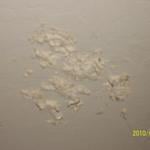Peeling paint (ceiling)
