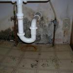 Visible signs under sink
