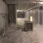 Mold Remediation