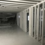 Mold Remediation