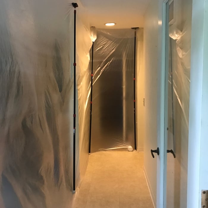 Mold Remediation