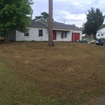 Front yard