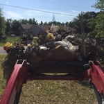 Trash in yard