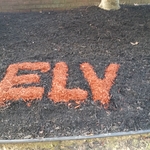 Lawn maintenance
