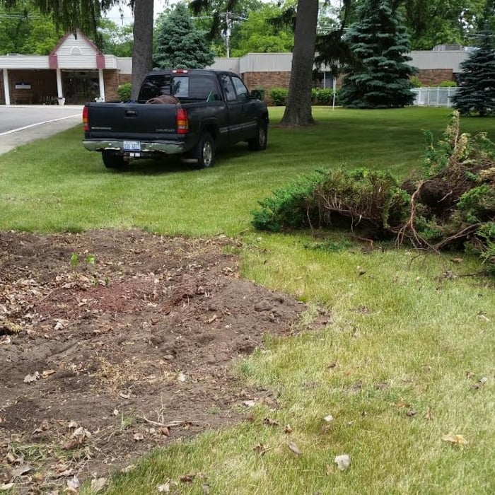 Taking out ugly bushes