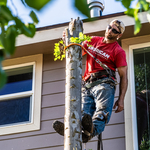 Hazardous Tree Removal