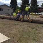 Hazardous Tree Removal