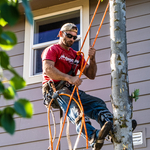 Hazardous Tree Removal