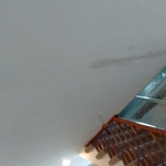 Drywall/plaster repair