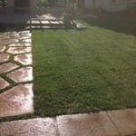 Sod Installation