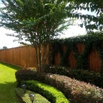 Fence