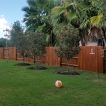 Fence