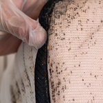 Bedbug Mattress