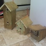 custom built birdhouses.