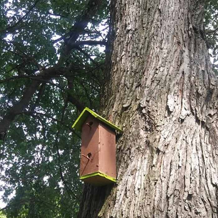 Bird house