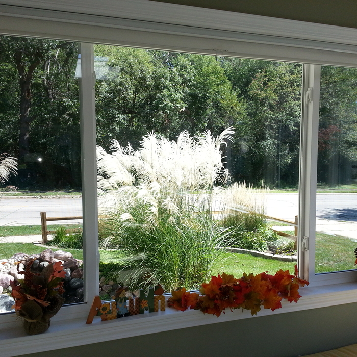 crystal view