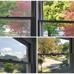 window cleaning