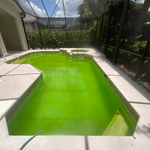 Green Pool Cleanup