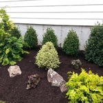 Gardening