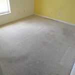 Carpet Restoration Before