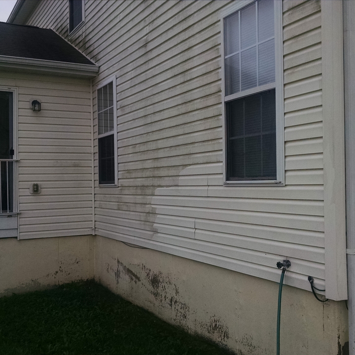 Residential Exterior Vinyl Mole Allergen Buildup