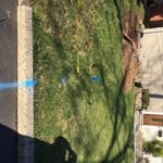 NEW SEWER MAIN BEGINS WITH MARK OUTS