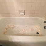Bathtub Stripped and New Glazed