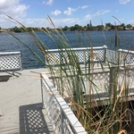 Dock Repair