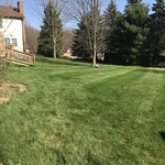 Backyard Stripage